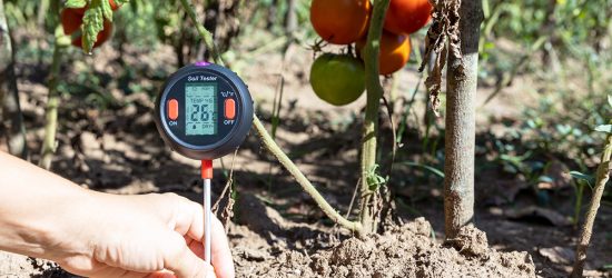 Soil temperature, moisture content, environmental humidity and illumination measurement in a vegetable garden