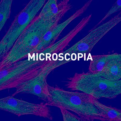 Noleggio strumenti - Microscopia